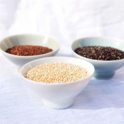 Quinoa – výživná, lahodná, univerzální