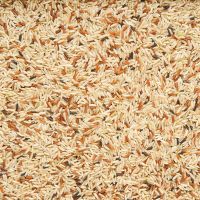 Rýže tříbarevná 5 kg BIO   COUNTRY LIFE