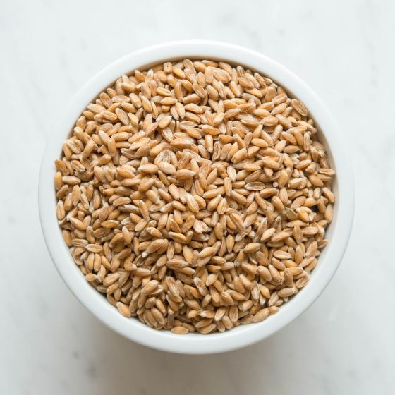 Pšenice špalda BIO vážená (cca 100 g)