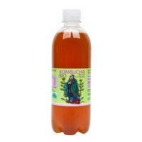 Kombucha meduňka 500 ml BIO   STEVIKOM