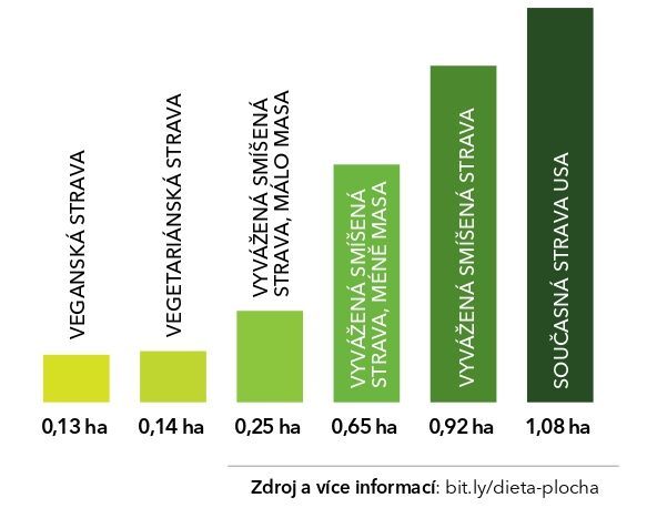 38-41_bioserial_dieta-plocha