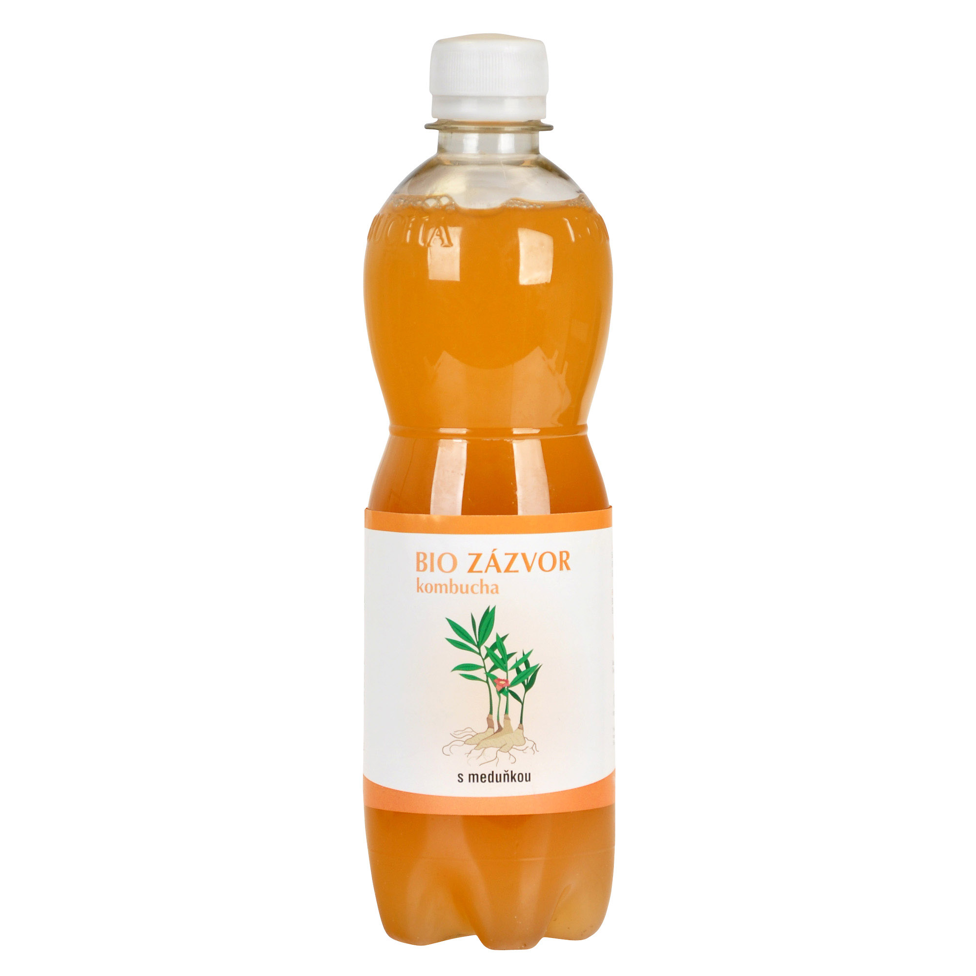 Kombucha zázvor 500ml